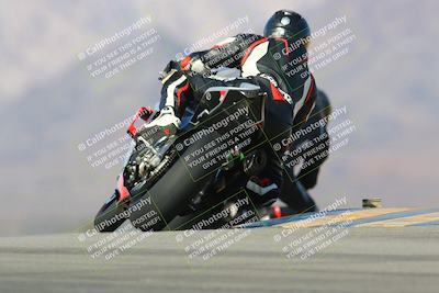 media/Jan-13-2024-SoCal Trackdays (Sat) [[9c032fe5aa]]/Turn 9 Backside (110pm)/